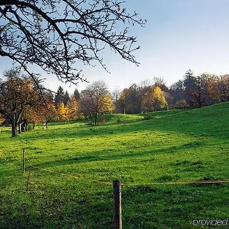 Hotel The Guests' House 3*